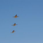 Iran fighter jets