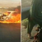 Afghanistan Says Traffickers Are to Blame for Deadly Car Blaze in Iran 1