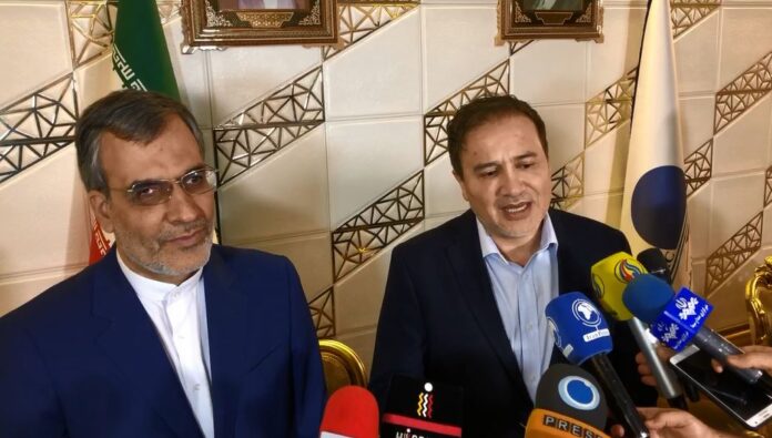 Iranian Doctor Back Home after Being Released from US Prison