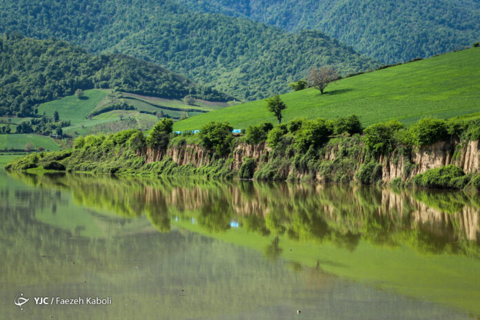 Iran's Nature in Photos: Gorgan Forests