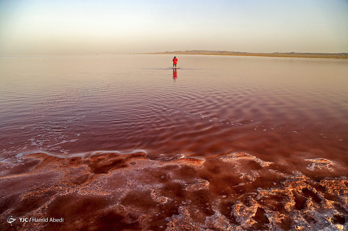 Iran in Photos: Water in Howz Soltan Lake Turns Red 22 Howz-e Soltan Lake