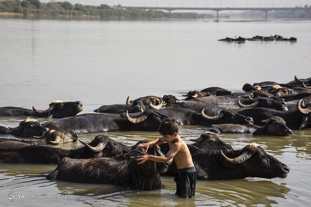 Extreme Heat in Iran's Ahvaz
