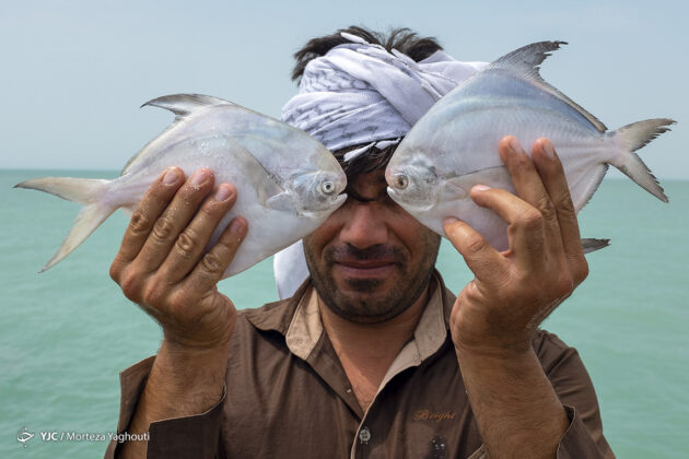 Bahrakan; The Biggest Fishing Port of Iran 16