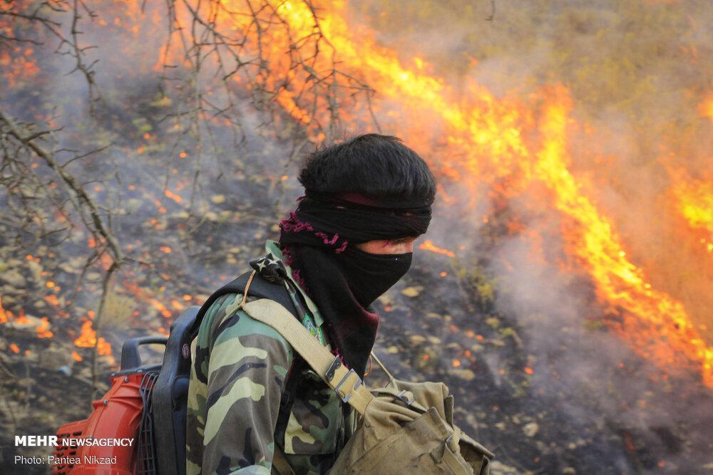 Fire at Oak Forests of Western Iran