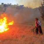Fire at Oak Forests of Western Iran