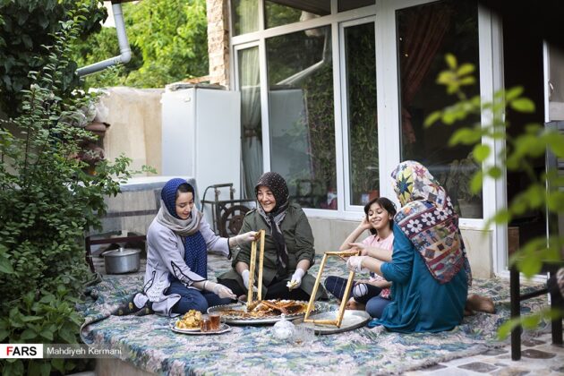 Peculiar Inheritance Makes Iranian Woman Exporter of Honey 7