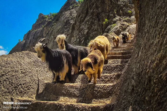 Khoda-Afarin-Natural-Bridge-29