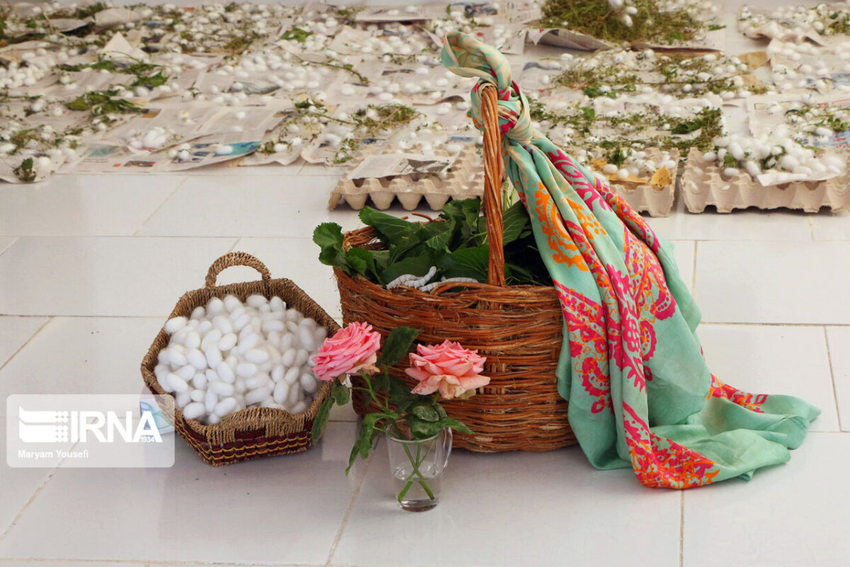 Silkworm Breeding; A 600-Year-Old Career in NW Iran