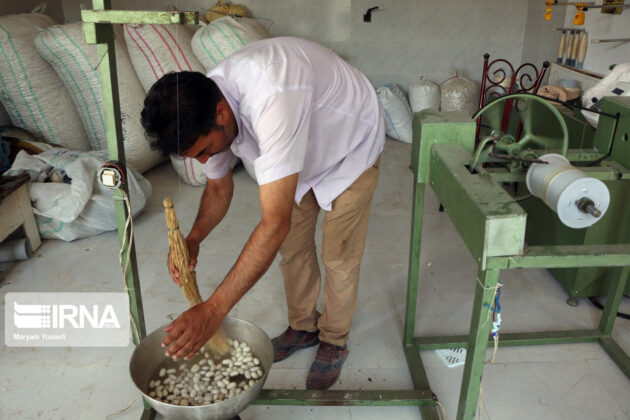 Silk production in Iran 6