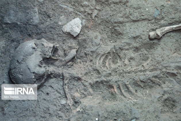 Skeleton of Parthian Woman Unearthed in Central Iran 2