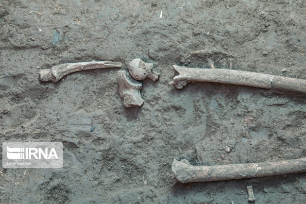 Skeleton of Parthian Woman Unearthed in Central Iran 2