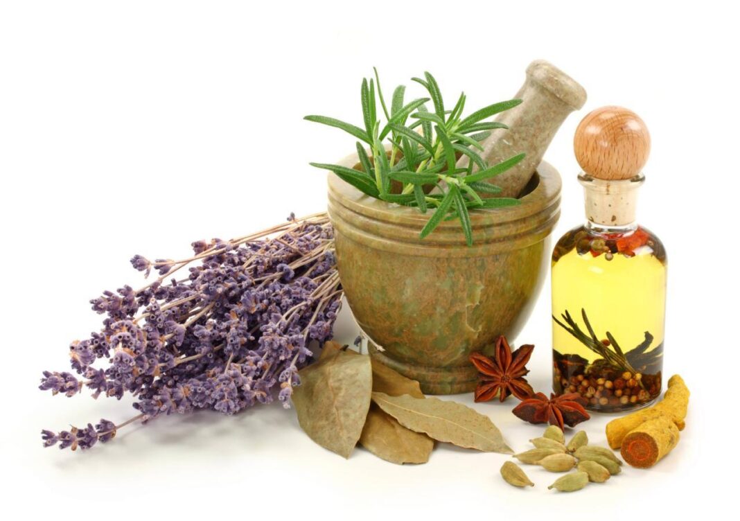 150 Iranian Companies Exporting Medicinal Herbs