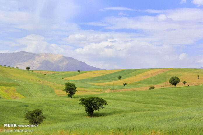 Iran's Nature In Photos: Ardal & Mashayekh Region - Iran Front Page