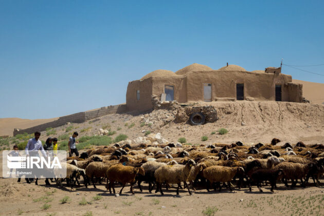 Iran’s Nature in Photos: Reza-Abad Desert