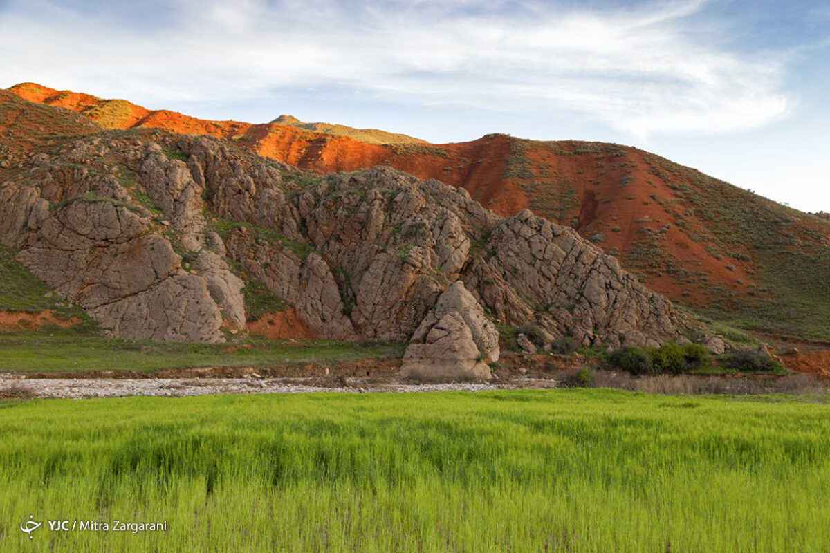 Nature of Nishapur 9