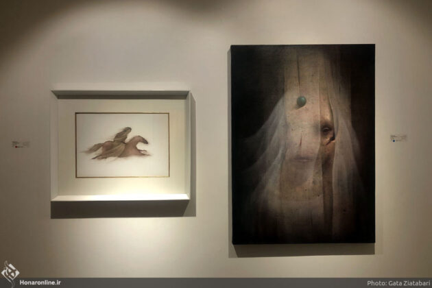 Tehran Hosts ‘Tough-Skinned’ Art Exhibition