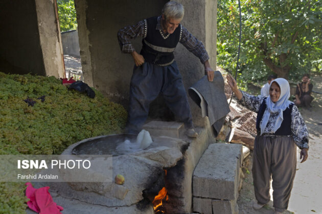 Sultana Production; A 1,000-Year-Old Career in Iranian Village