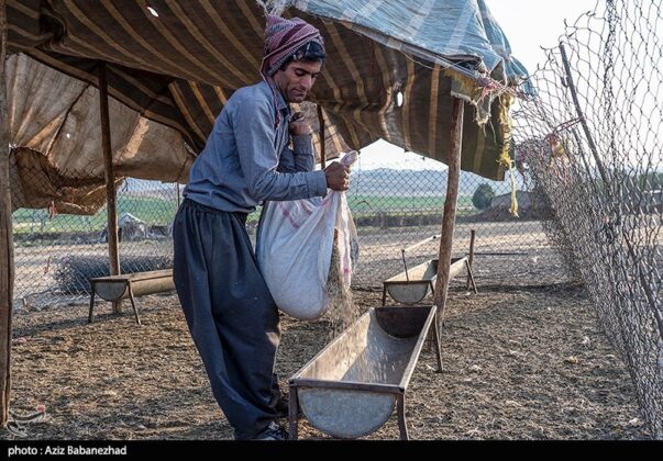 Lak Tribe Start Seasonal Migration in Western Iran 29
