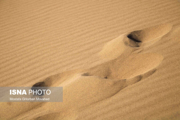 Lost Desert in Heart of Cold Region 5