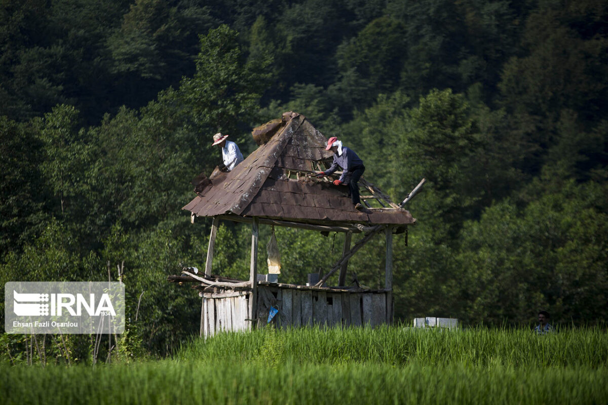 Nefar; A Symbol of Vernacular Architecture in Northern Iran 2