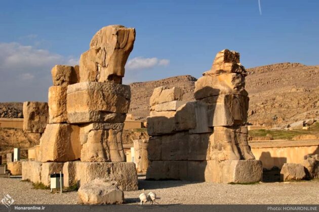 Ancient Iran Remains 5