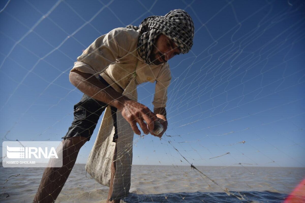 Last Efforts to Catch Fish from Dying Hamun Lake
