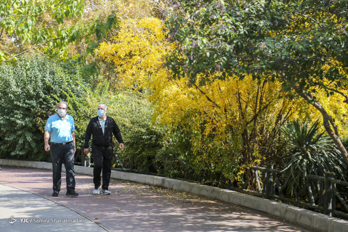 In Photos: Tehran’s Beauties in Autumn