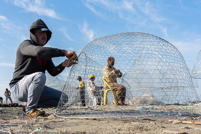 A Basket Fish Trap Made in Southern Iran