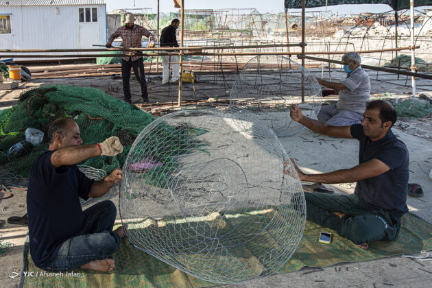 A Basket Fish Trap Made in Southern Iran