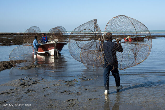 A Basket Fish Trap Made in Southern Iran