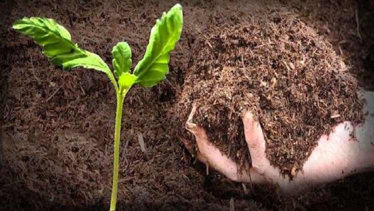 Iran Produces Fertilizer from Sewage Sludge