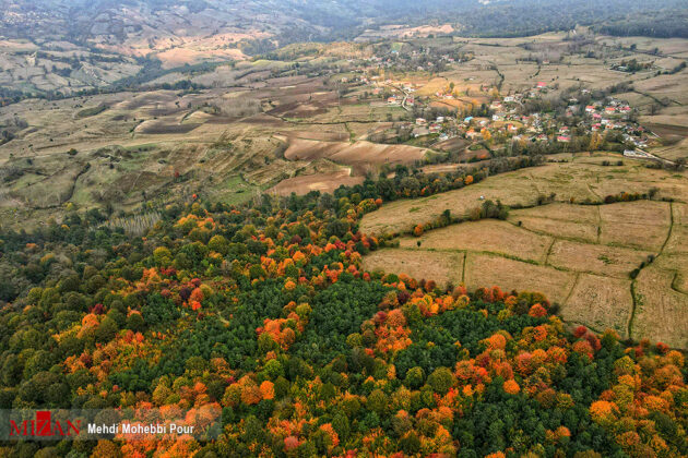 Autumn in Mazandaran 1