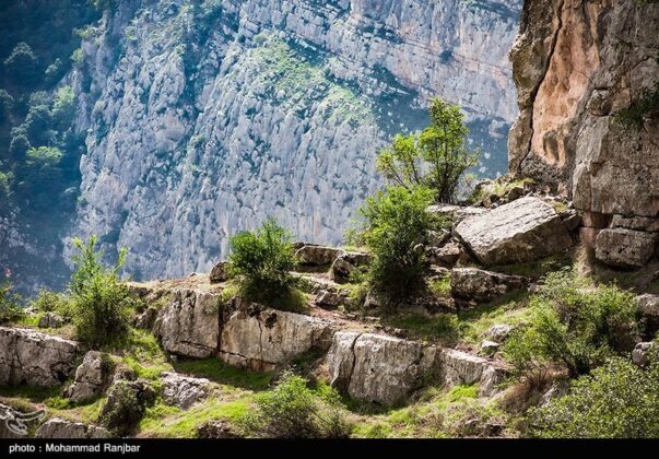 Iran nature