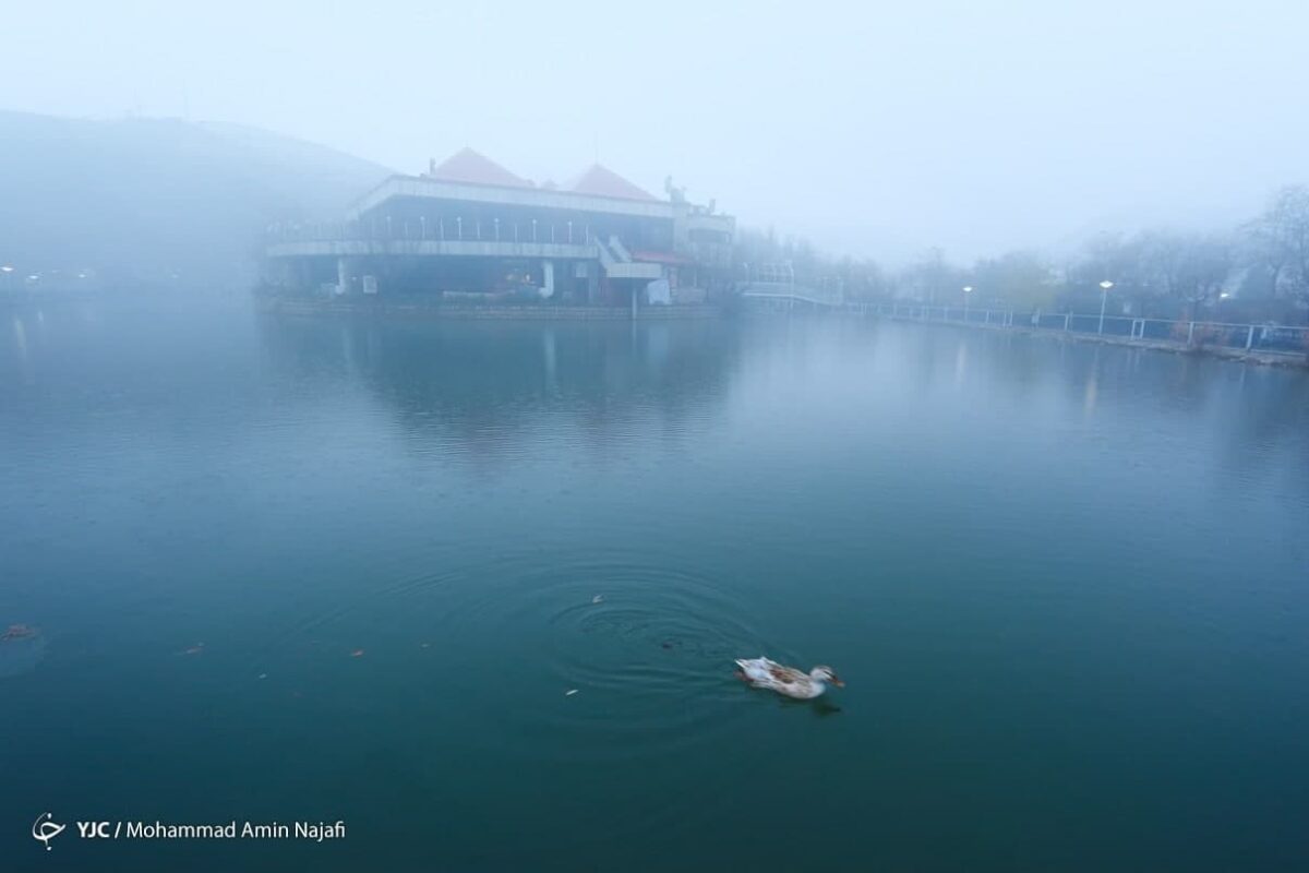 City of Hamadan Covered by Mist