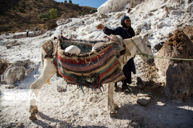 Women Villagers in Western Iran Earn a Living by Collecting Salt from Rocks 4
