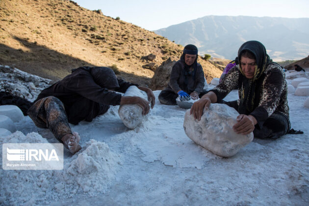 Women Villagers in Western Iran Earn a Living by Collecting Salt from Rocks 6