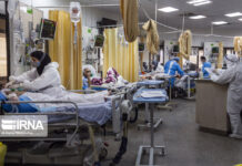 Iranian Strain of COVID-19 May Emerge in Future: Official