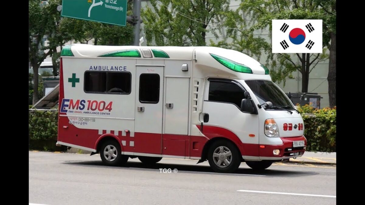 Tehran Furious at Seoul’s Offer of Selling Iran Ambulances in Return for Frozen Assets 1 Tehran Furious at Seoul’s Offer of Selling Iran Ambulances in Return for Frozen Assets
