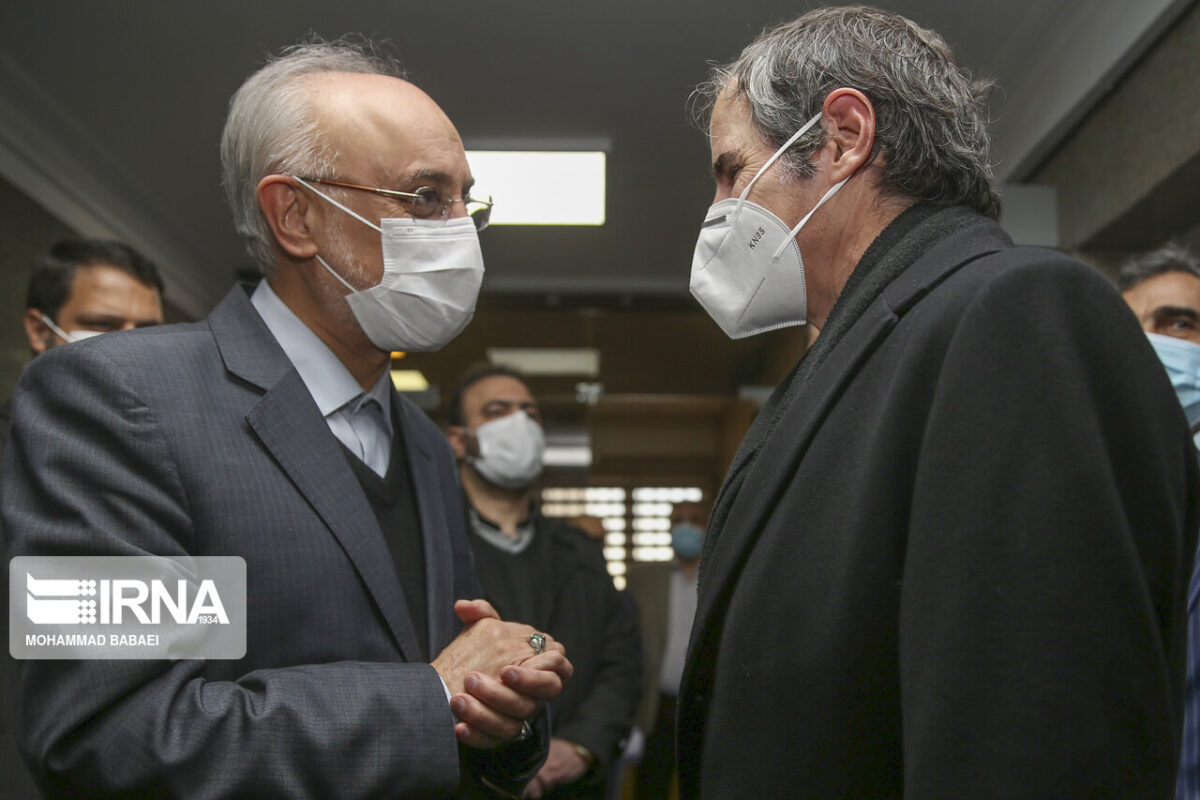 Ali Akbar Salehi- Rafael Grossi