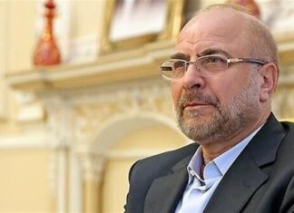 Iran’s Parliament Speaker to Convey Message to Putin in Russia Trip