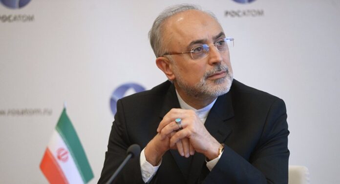 Ali Akbar Salehi