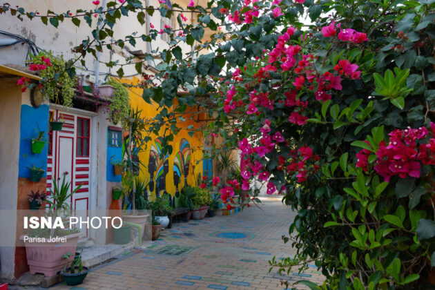 Bushehr: A City of Mesmerizing Flowers in Southern Iran