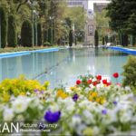 Over 40,000 Tulips Planted in Tehran's City Park