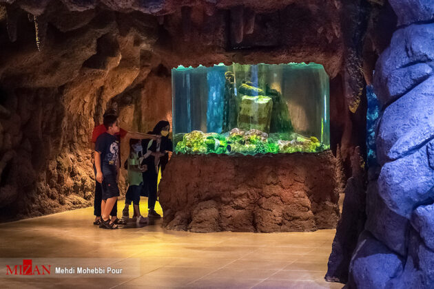 Iran's Beauties in Photos: 'Fantastic' Aquarium of Anzali Port