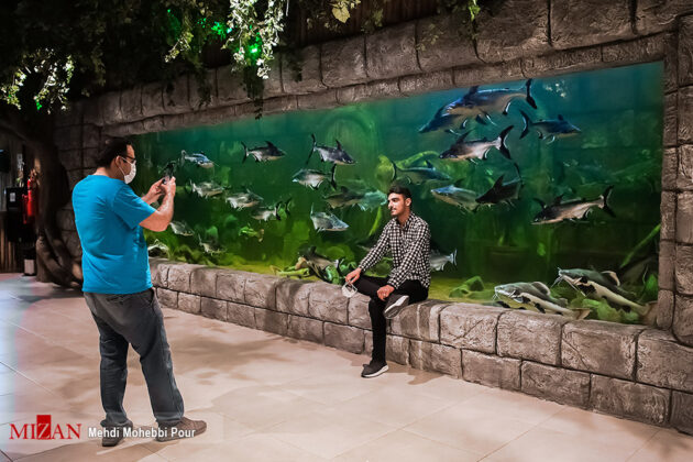 Iran's Beauties in Photos: 'Fantastic' Aquarium of Anzali Port
