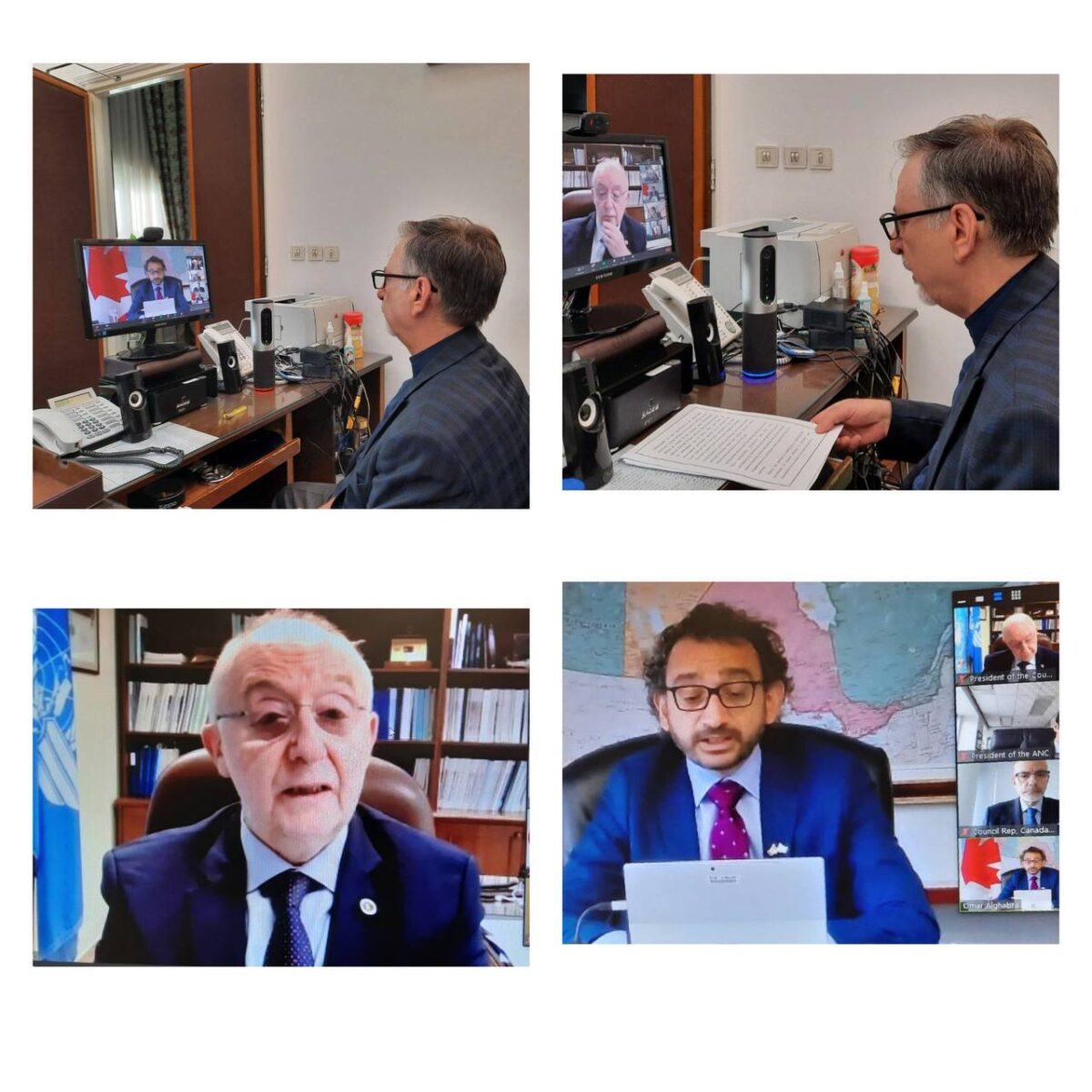 Ukrainian Plane Crash Shouldn't Be Politicised, Iran Tells ICAO