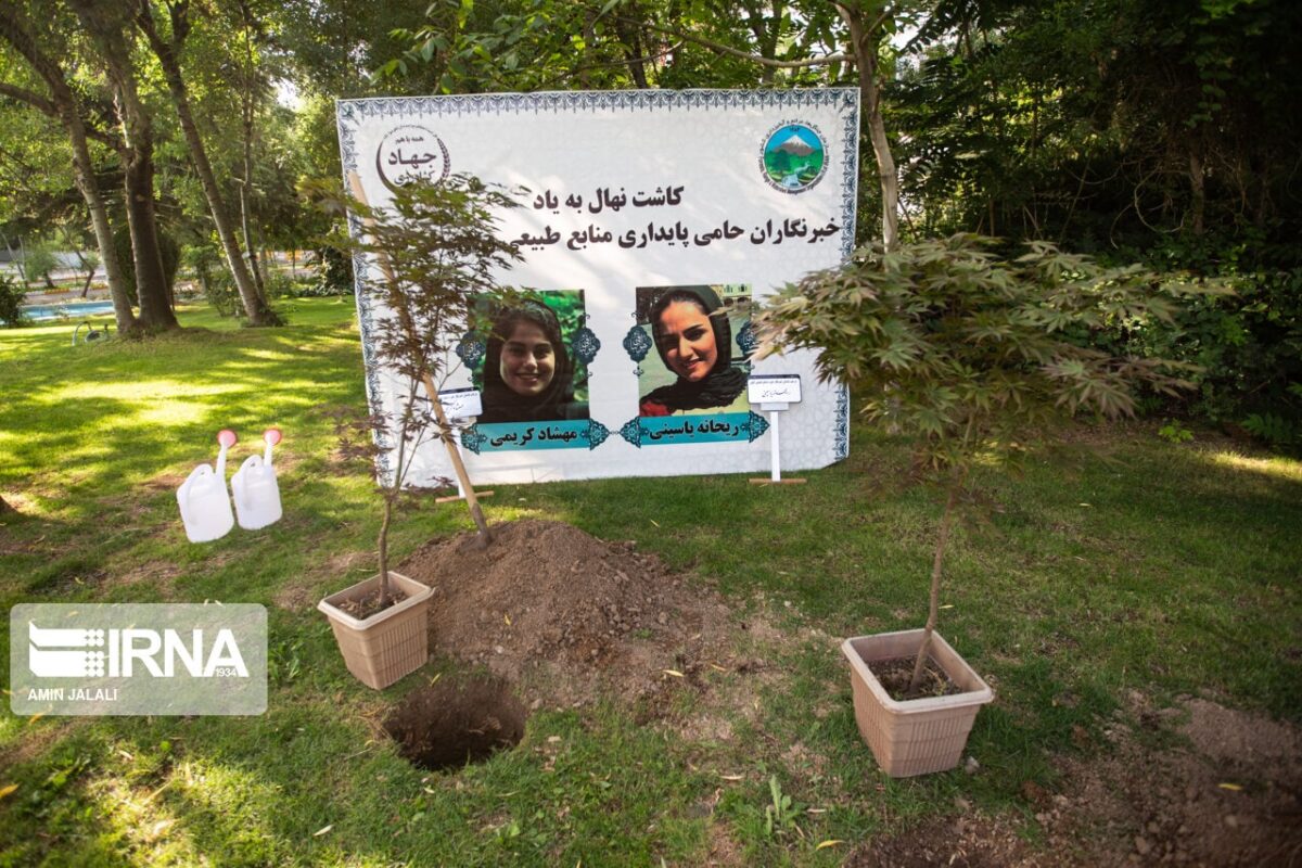 Saplings Planted in Memory of Environment Reporters Killed in Bus Crash