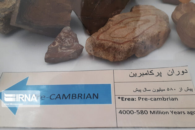 Sangsar Museum of Rocks Fossils 1