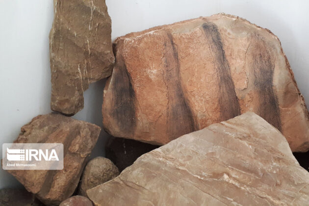 Sangsar Museum of Rocks Fossils 13