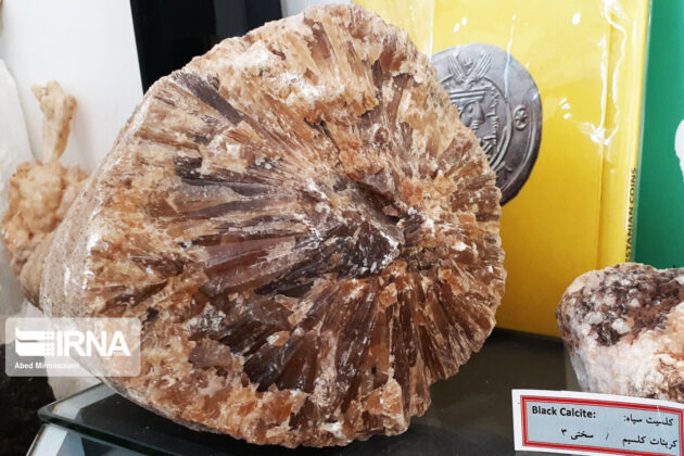 Sangsar Museum of Rocks Fossils 16
